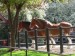 clydesdales.jpg