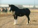 DSCF0046.118210956_std.jpg
